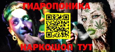 соль ск Новодвинск