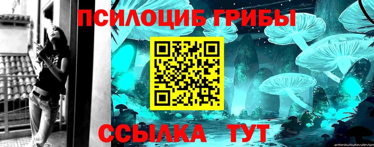 Свободный  Галлюциногенные грибы Psilocybe  Вход с VPN 