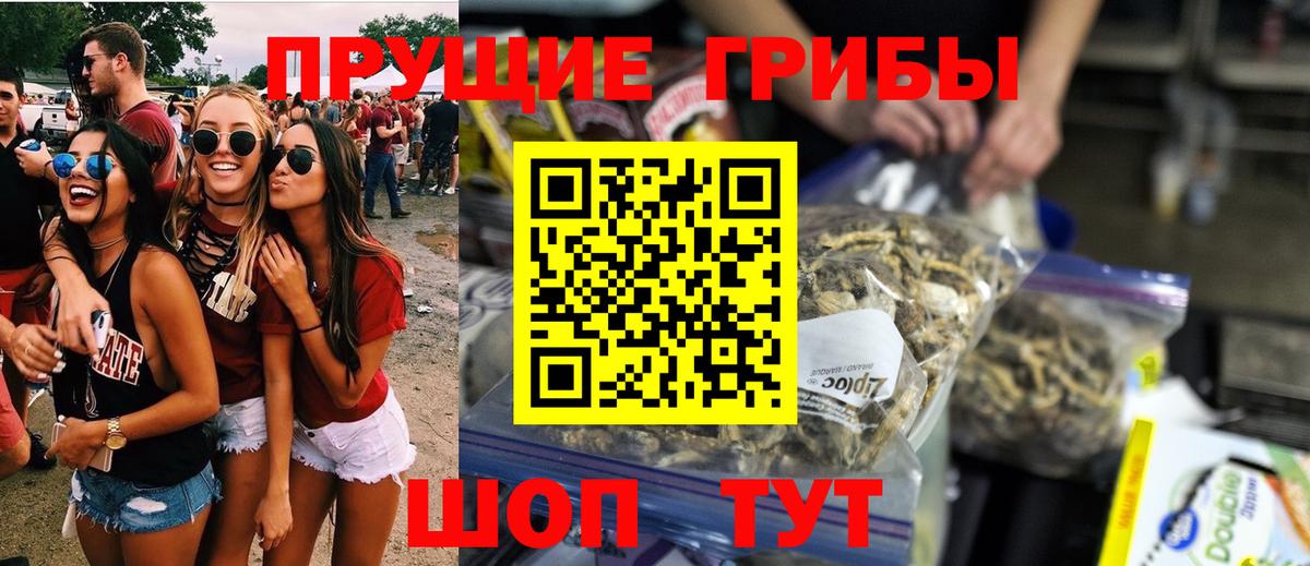 Галлюциногенные грибы GOLDEN TEACHER Свободный